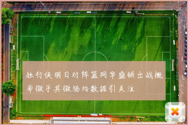 独行侠明日对阵篮网华盛顿出战概率微乎其微场均数据引关注